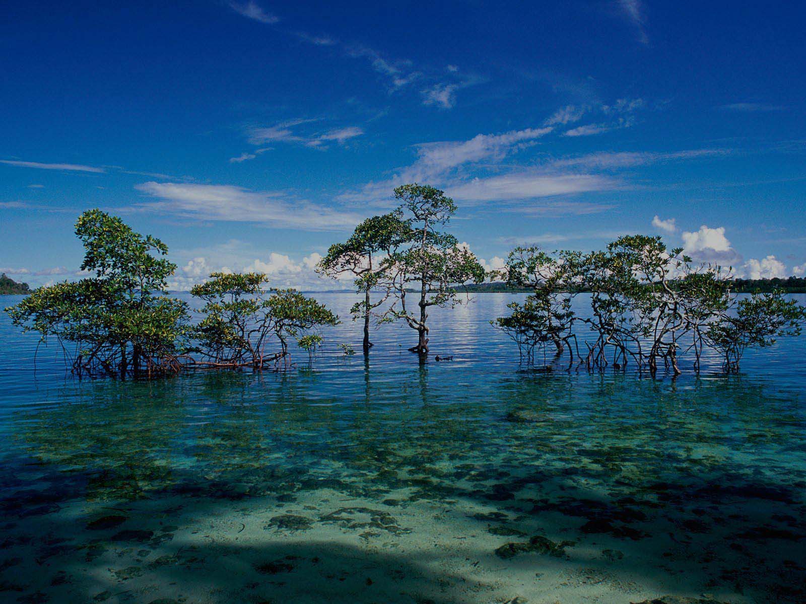 Andaman Lagoons - Destination Havelock Island in Andaman Islands