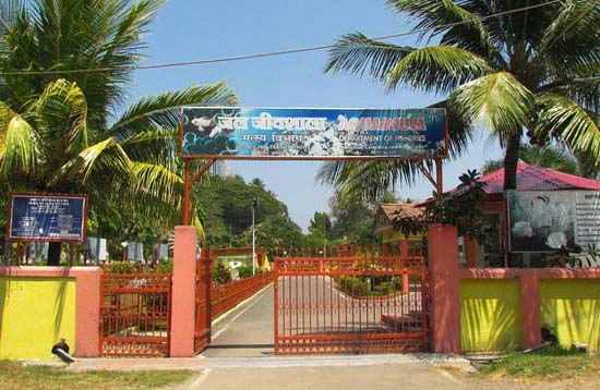 Andaman Lagoons - Popuplar Destination, City Tour, Place to Visit or Sightseeing - Fisheries Museum or Aquarium at Port Blair in Andaman Islands