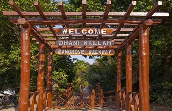 Andaman Lagoons - Popuplar Destination, Place to Visit or Sightseeing - Dhaninalah (Dhaninalah Mangrove Walkway, Dhaninalah Beach) at Rangat (North and Middle Andaman) in Andaman Islands