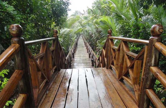 Andaman Lagoons - Popuplar Destination, Place to Visit or Sightseeing - Dhaninalah (Dhaninalah Mangrove Walkway, Dhaninalah Beach) at Rangat (North and Middle Andaman) in Andaman Islands