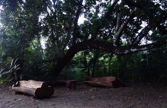 Andaman Lagoons - Popuplar Destination, Place to Visit or Sightseeing - Dhaninalah (Dhaninalah Mangrove Walkway, Dhaninalah Beach) at Rangat (North and Middle Andaman) in Andaman Islands