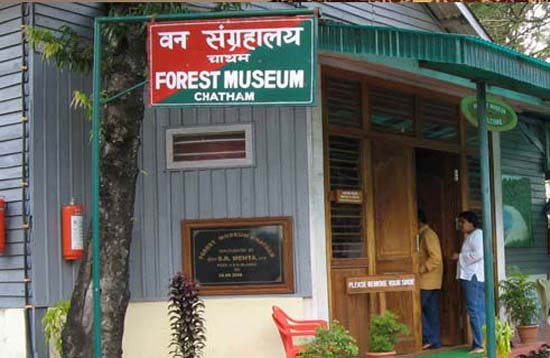 Andaman Lagoons - Popuplar Destination, City Tour, Place to Visit or Sightseeing - Forest Museum at Port Blair in Andaman Islands