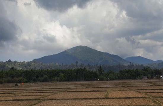 Andaman Lagoons - Popuplar Destination, Place to Visit or Sightseeing - Saddle Peak (Trekking, Bird Watching) at Diglipur (North and Middle Andaman) in Andaman Islands