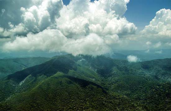 Andaman Lagoons - Popuplar Destination, Place to Visit or Sightseeing - Saddle Peak (Trekking, Bird Watching) at Diglipur (North and Middle Andaman) in Andaman Islands