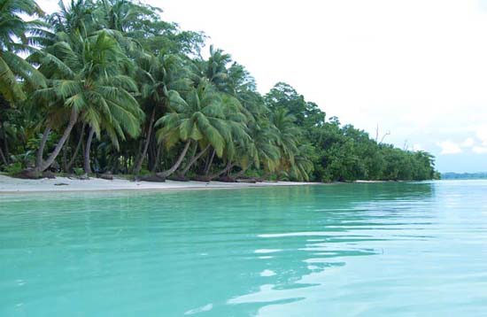 Andaman Lagoons - Popuplar Destination, Place to Visit or Sightseeing - Vijaynagar Beach at Havelock Island in Andaman Islands