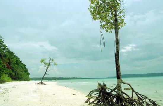 Andaman Lagoons - Popuplar Destination, Place to Visit or Sightseeing - Vijaynagar Beach at Havelock Island in Andaman Islands