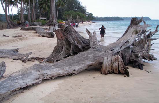 Andaman Lagoons - Popuplar Destination, Place to Visit or Sightseeing - Wandoor Beach at Port Blair in Andaman Islands