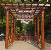 Andaman Lagoons - Popuplar Destination, Place to Visit or Sightseeing - Dhaninalah Mangrove Walk Way at Rangat (North and Middle Andaman) in Andaman Islands